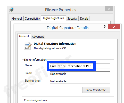 Screenshot of the Endurance International PLC certificate